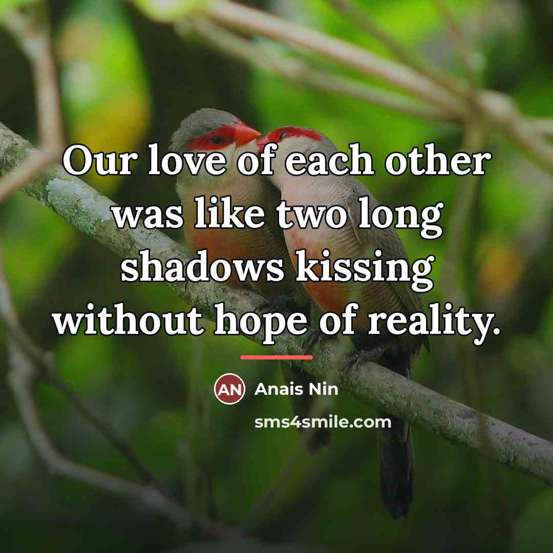 “Our love of each other was like two long shadows…” quote by Anais Nin