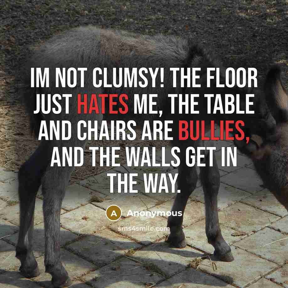 “Im not clumsy! The floor just hates me, the table and chairs are bullies, and the walls get in the way.” quote by Anonymous