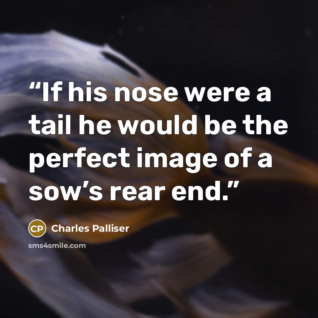 “If his nose were a tail he would be the perfect image of a sow’s rear end.” quote by Charles Palliser