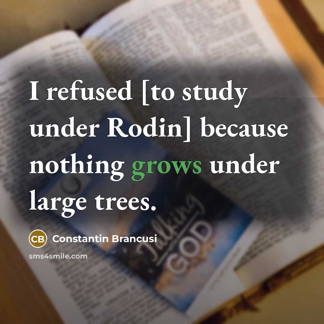 “I refused [to study under Rodin] because nothing grows under large trees.” quote by Constantin Brancusi