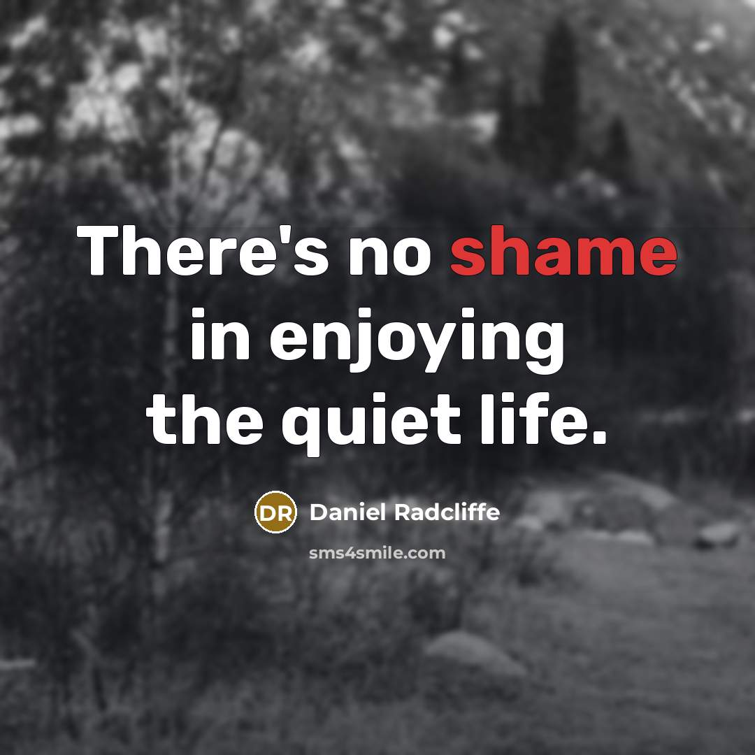 “There's no shame in enjoying the quiet life.…” quote by Daniel Radcliffe