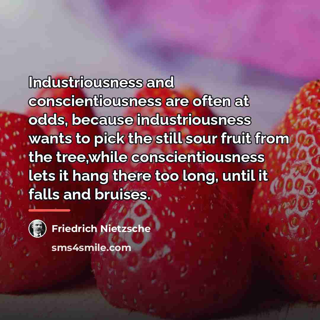 “Industriousness and conscientiousness are often at odds, because industriousness wants…” quote by Friedrich Nietzsche