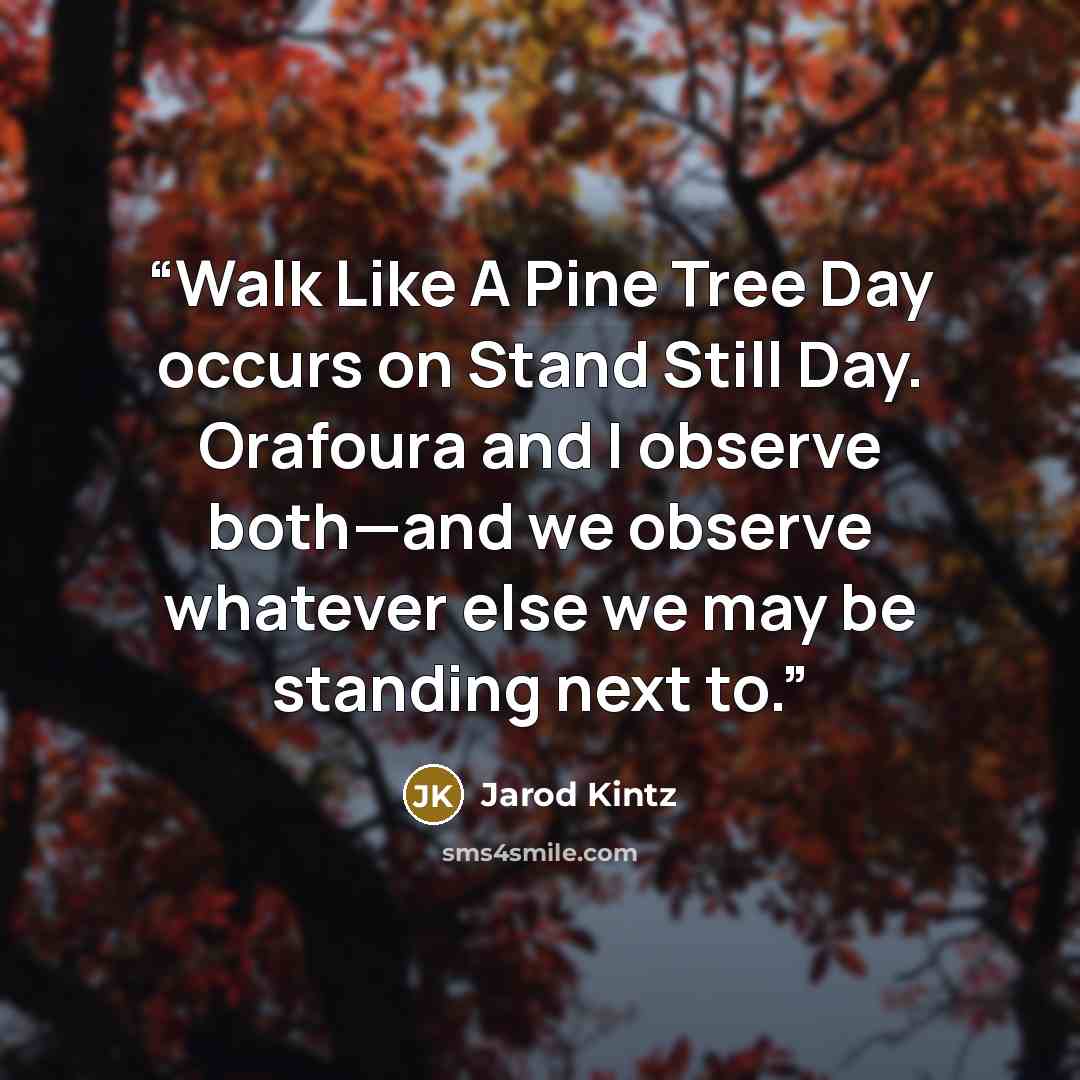 “Walk Like A Pine Tree Day occurs on Stand Still Day. Orafoura and I observe both—and we observe whatever else we may be standing next to.” quote by Jarod Kintz