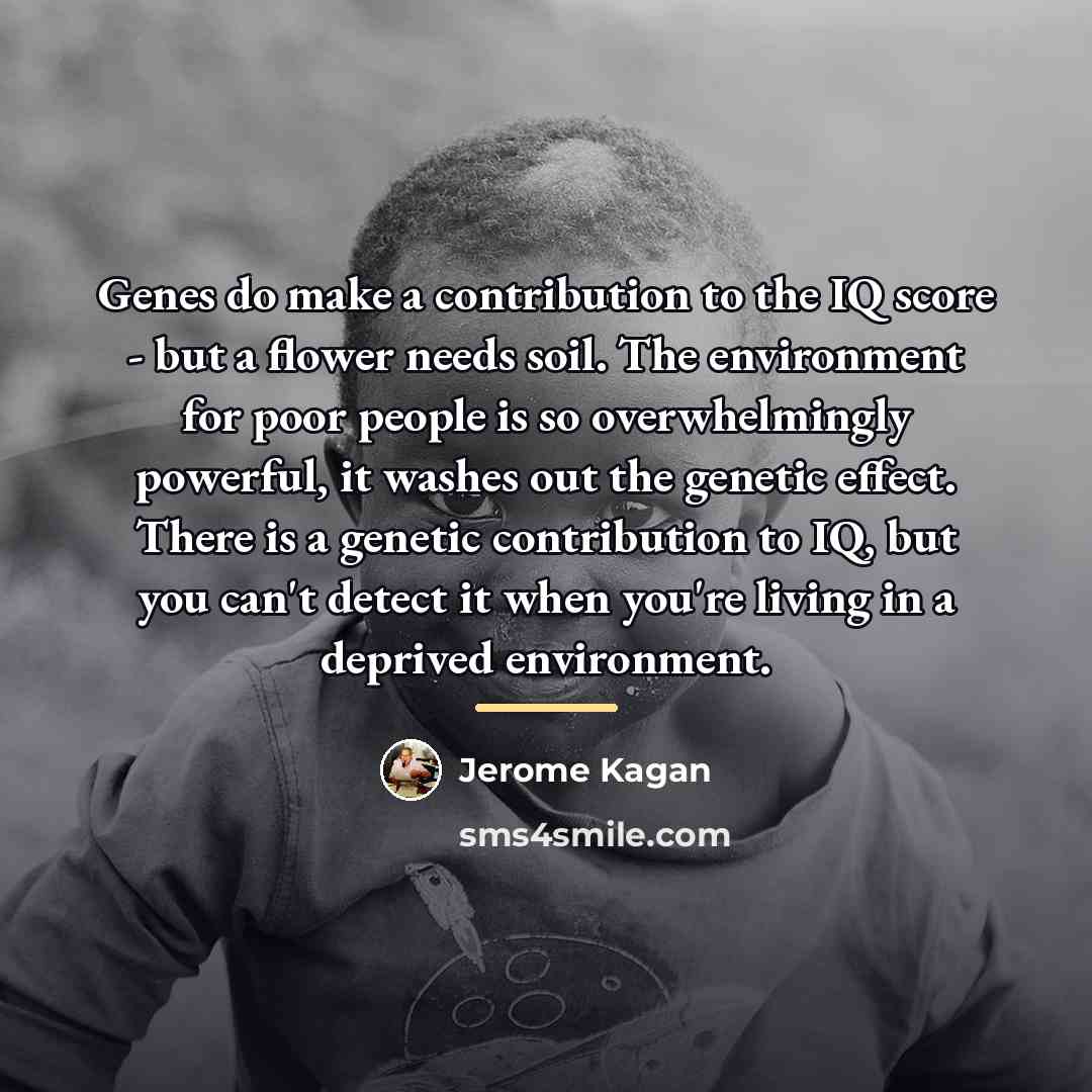 “Genes do make a contribution to the IQ score -…” quote by Jerome Kagan