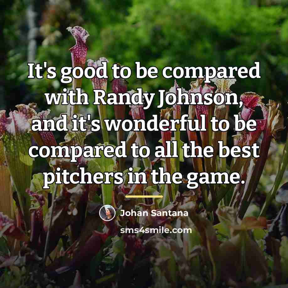 “It's good to be compared with Randy Johnson, and it's…” quote by Johan Santana