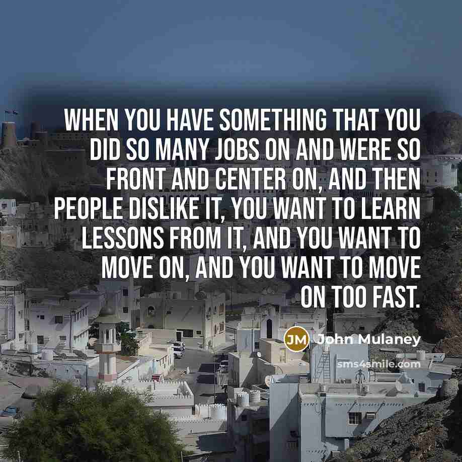 “When you have something that you did so many jobs on and were so front and center on, and then people dislike it, you want to learn lessons from it, and you want to move on, and you want to move on too fast.” quote by John Mulaney