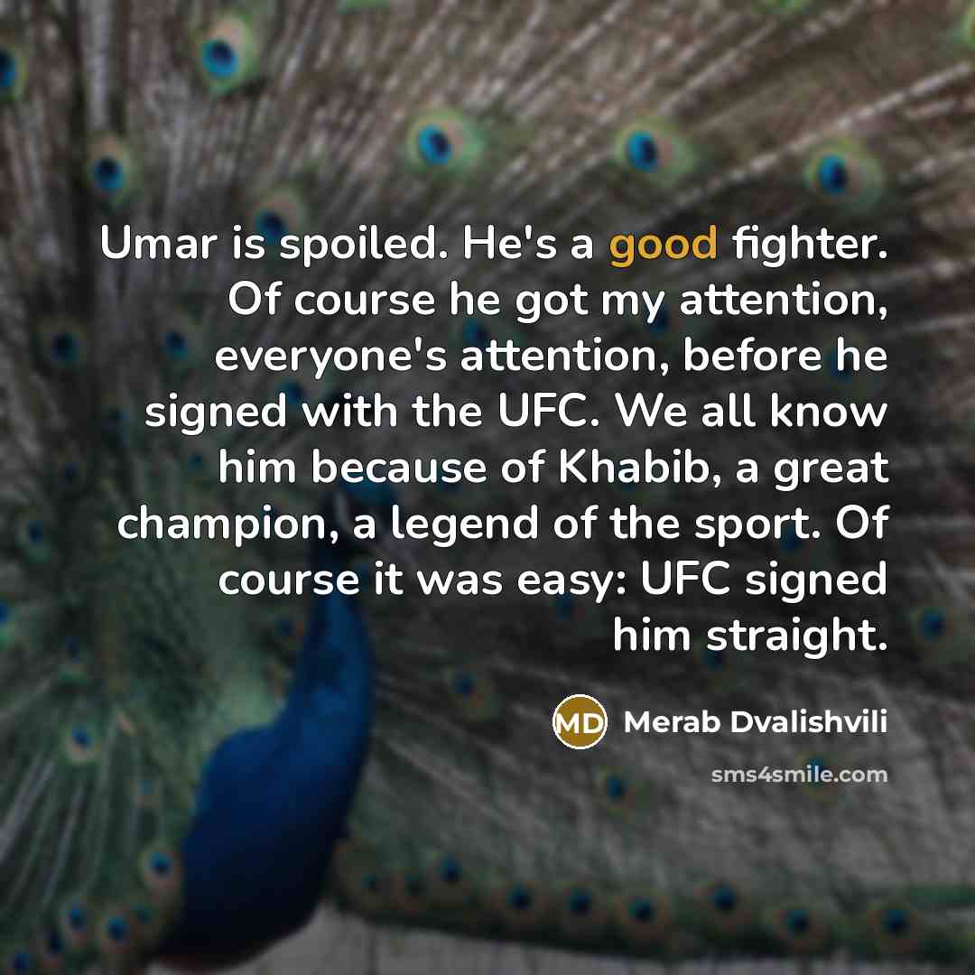 “Umar is spoiled. He's a good fighter. Of course he…” quote by Merab Dvalishvili