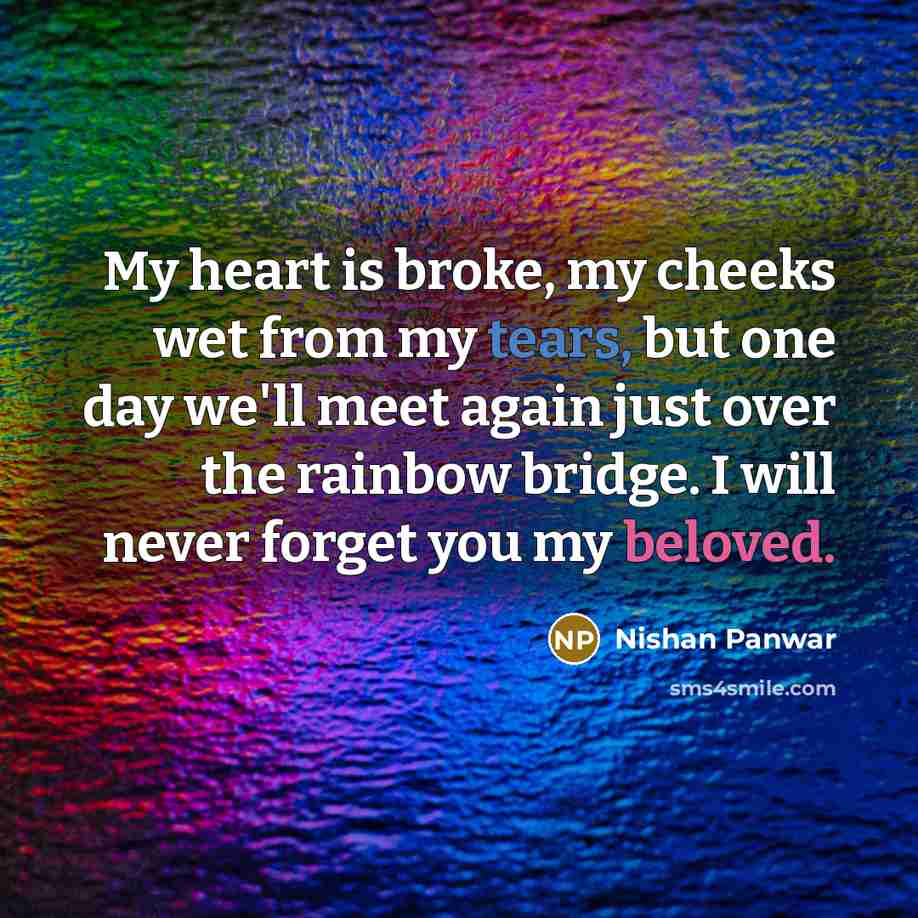 “My heart is broke, my cheeks wet from my tears,…” quote by Nishan Panwar