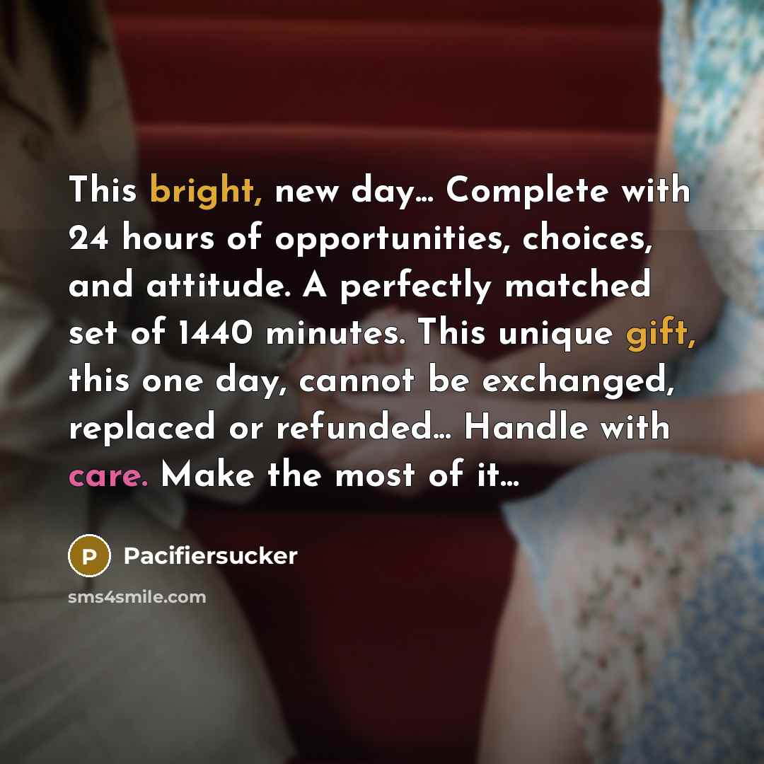 “This bright, new day... Complete with 24 hours of opportunities, choices, and attitude. A perfectly matched set of 1440 minutes. This unique gift, this one day, cannot be exchanged, replaced or refunded... Handle with care. Make the most of it...” quote by Pacifiersucker