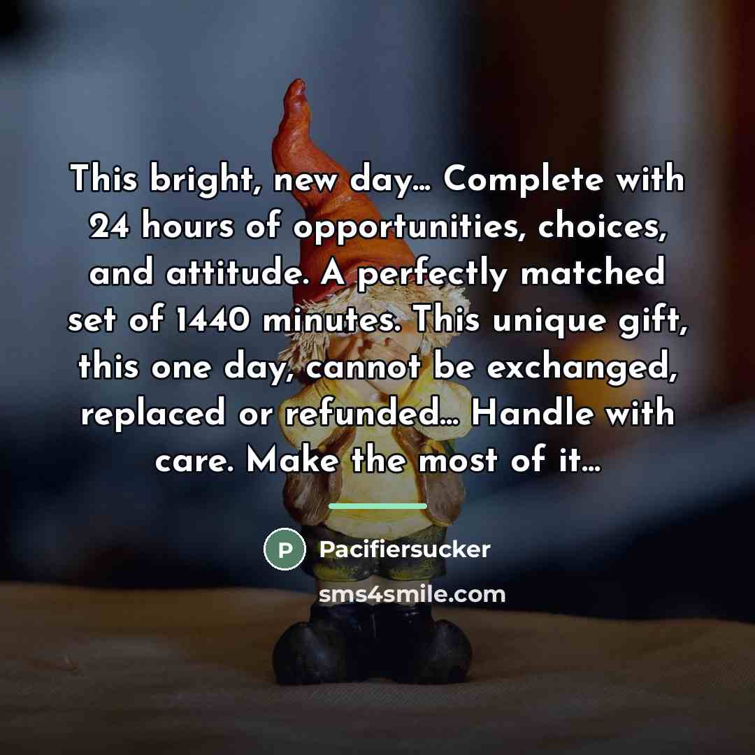“This bright, new day... Complete with 24 hours of opportunities,…” quote by Pacifiersucker