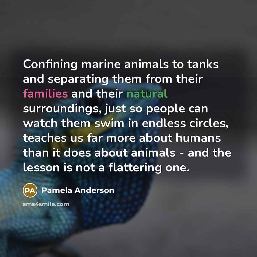 “Confining marine animals to tanks and separating them from their…” quote by Pamela Anderson