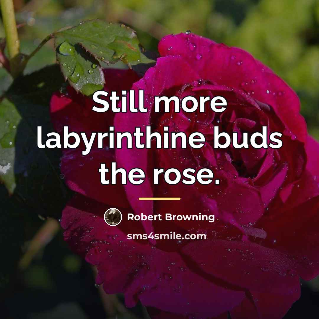 “Still more labyrinthine buds the rose.…” quote by Robert Browning
