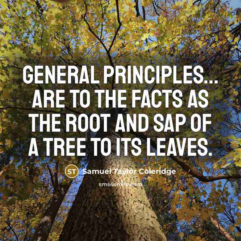 “General principles... are to the facts as the root and…” quote by Samuel Taylor Coleridge