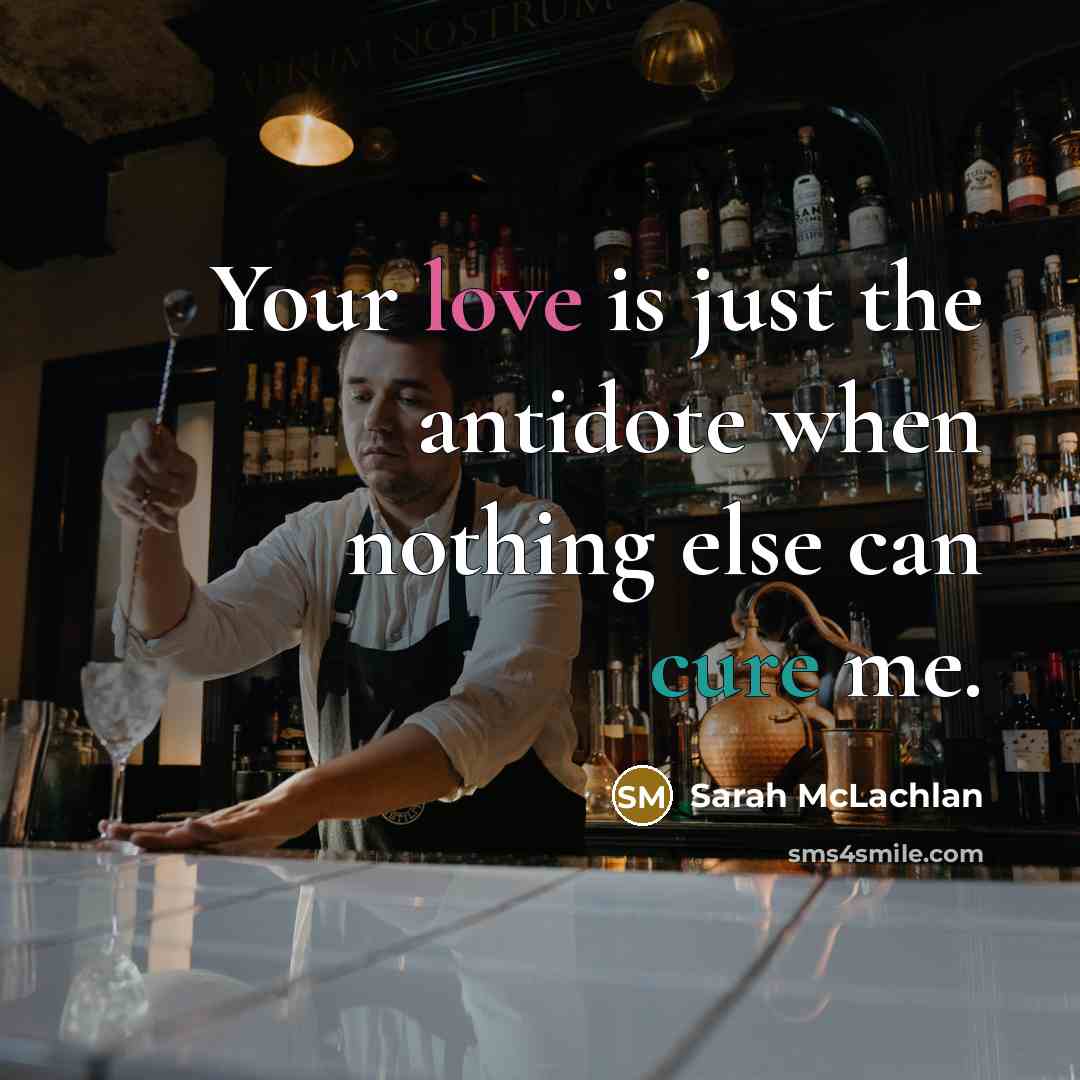 “Your love is just the antidote when nothing else can…” quote by Sarah McLachlan