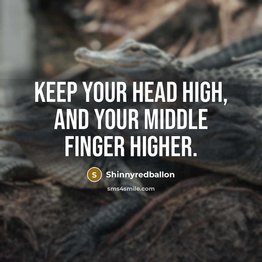 “Keep your head high, and your middle finger higher.…” quote by Shinnyredballon