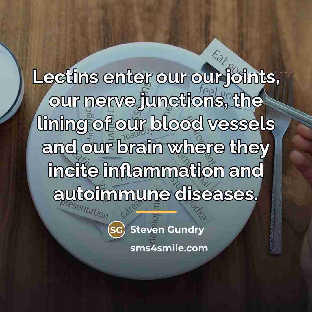 “Lectins enter our our joints, our nerve junctions, the lining…” quote by Steven Gundry