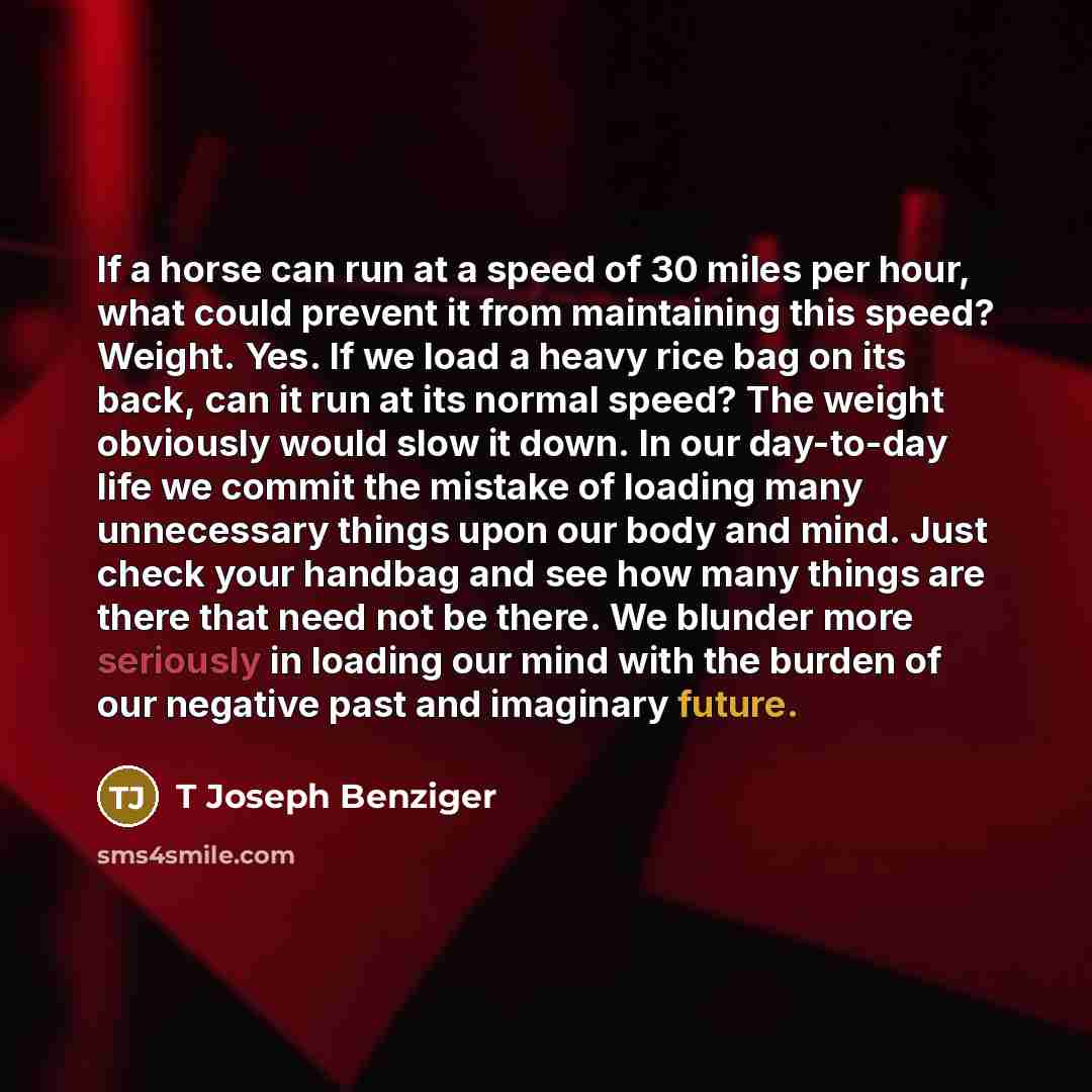 “If a horse can run at a speed of 30…” quote by T Joseph Benziger