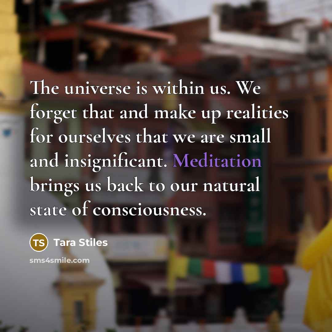 “The universe is within us. We forget that and make…” quote by Tara Stiles