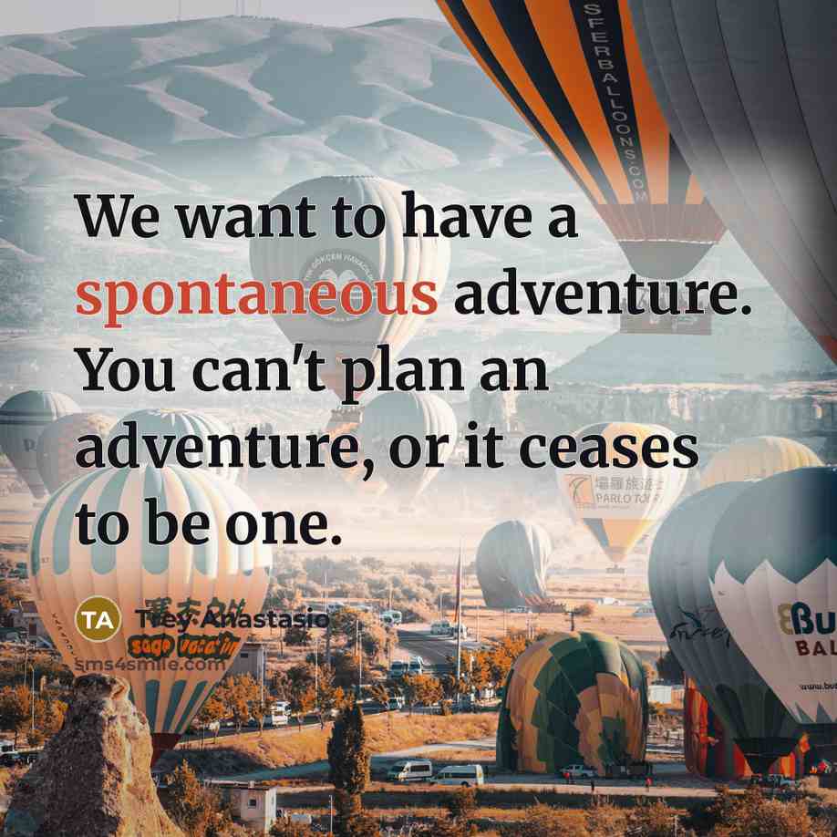 “We want to have a spontaneous adventure. You can't plan…” quote by Trey Anastasio