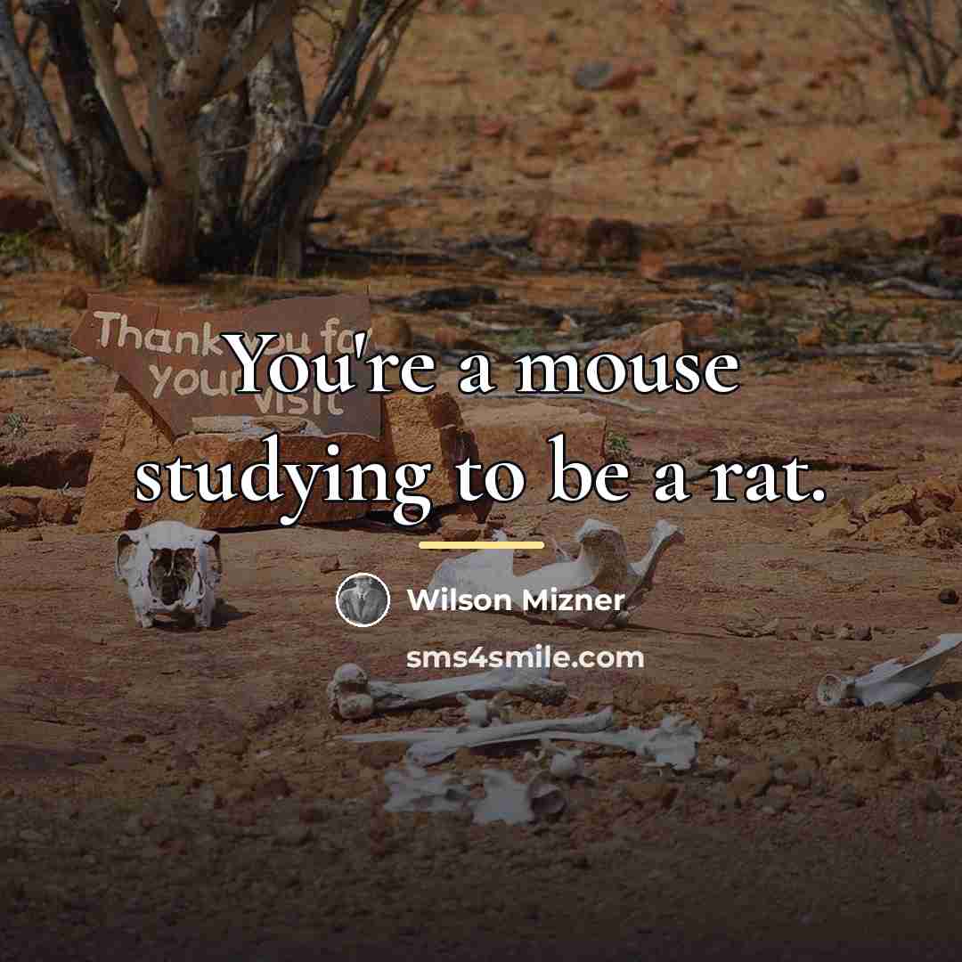 “You're a mouse studying to be a rat.…” quote by Wilson Mizner