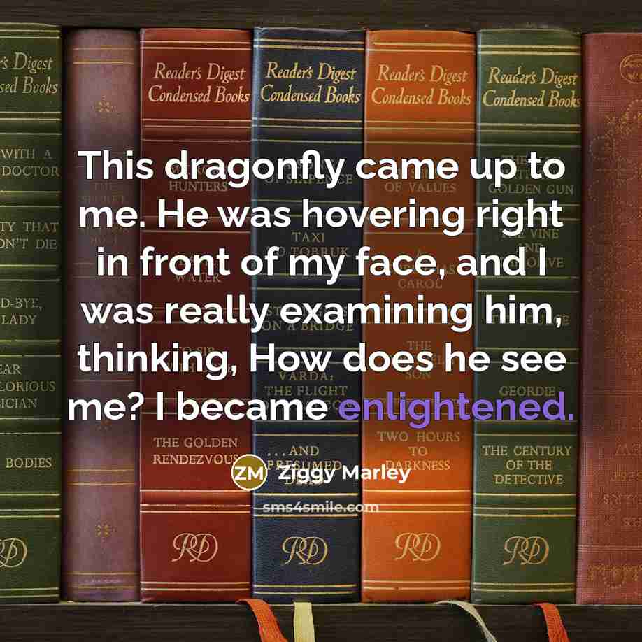 “This dragonfly came up to me. He was hovering right…” quote by Ziggy Marley
