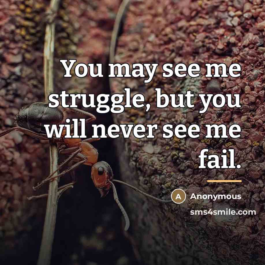 “You may see me struggle, but you will never see…” quote by Anonymous