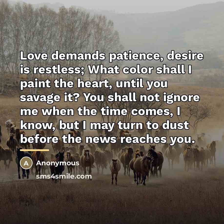 “Love demands patience, desire is restless; What color shall I…” quote by Anonymous