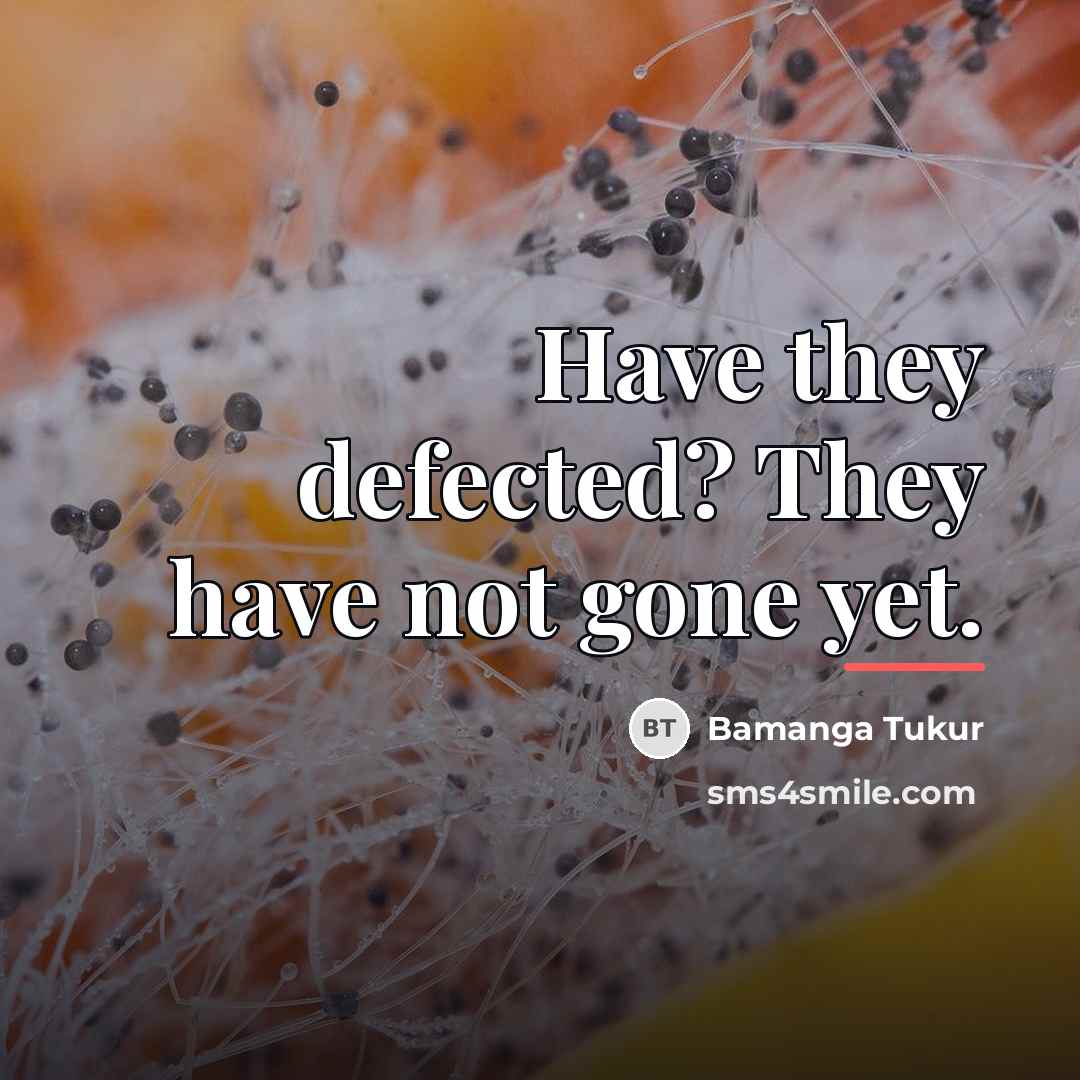 “Have they defected? They have not gone yet.…” quote by Bamanga Tukur
