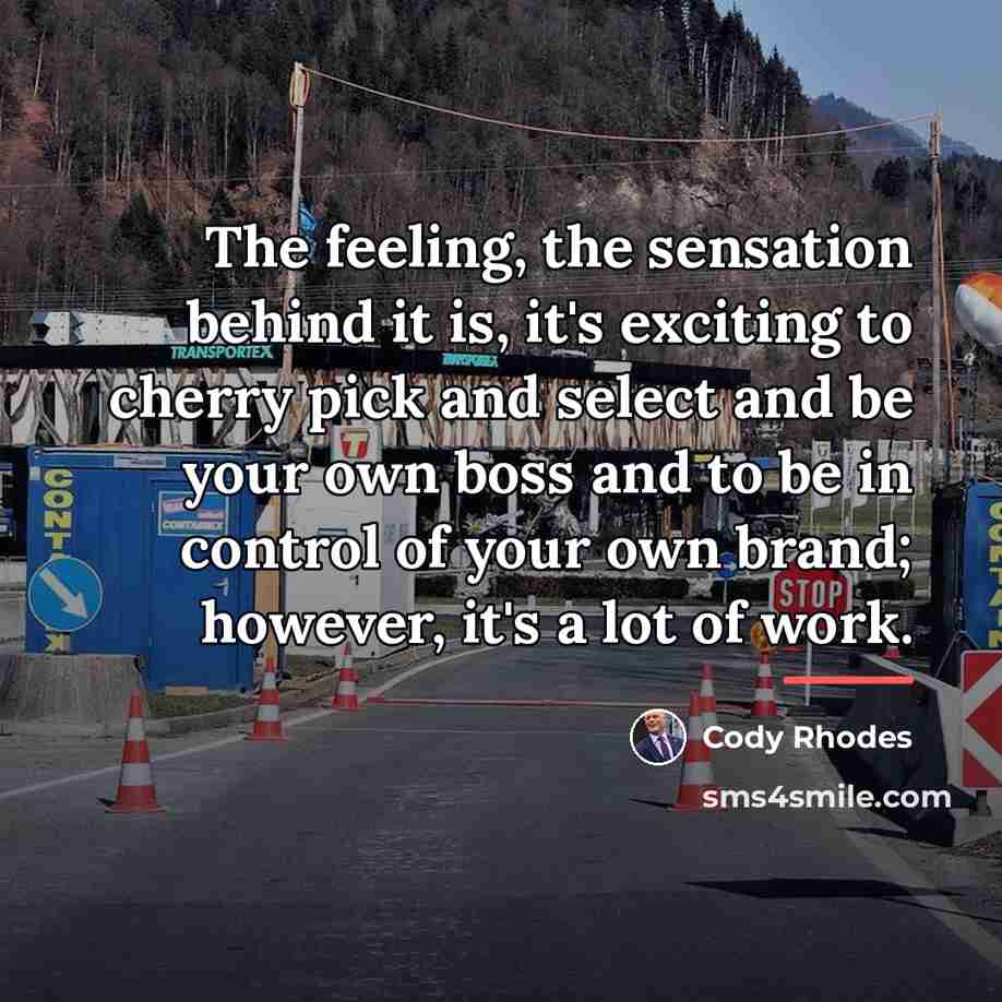 “The feeling, the sensation behind it is, it's exciting to…” quote by Cody Rhodes
