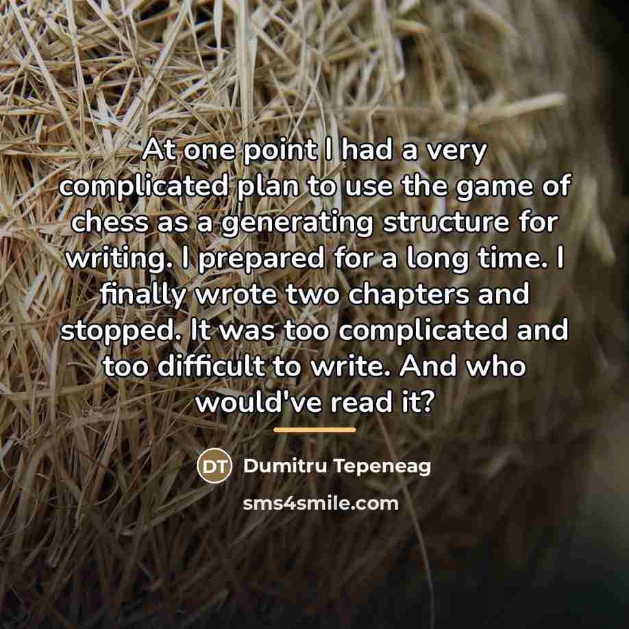 “At one point I had a very complicated plan to…” quote by Dumitru Tepeneag