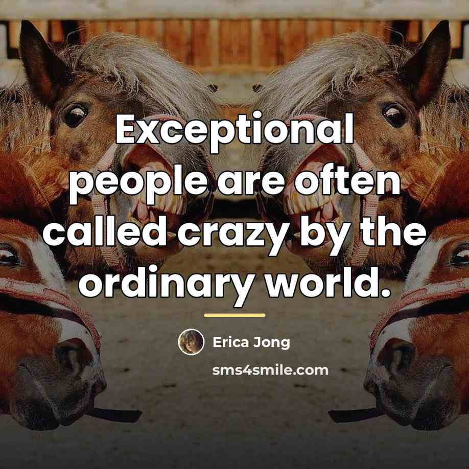 “Exceptional people are often called crazy by the ordinary world.…” quote by Erica Jong