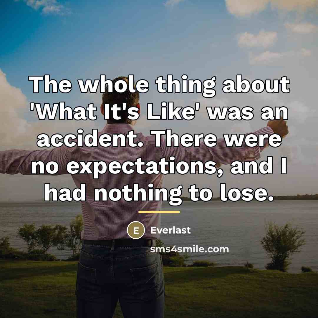 “The whole thing about 'What It's Like' was an accident.…” quote by Everlast