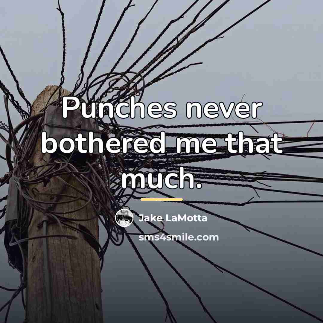 “Punches never bothered me that much.…” quote by Jake LaMotta