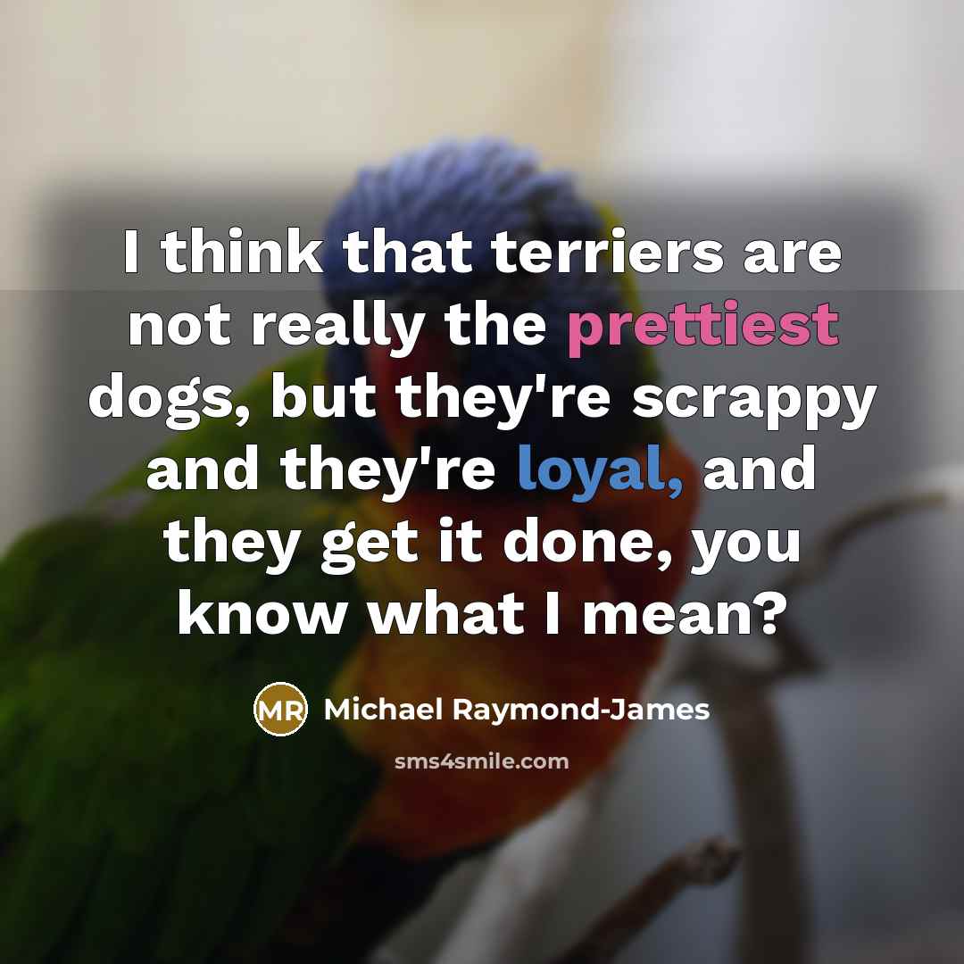 “I think that terriers are not really the prettiest dogs, but they're scrappy and they're loyal, and they get it done, you know what I mean?” quote by Michael Raymond-James