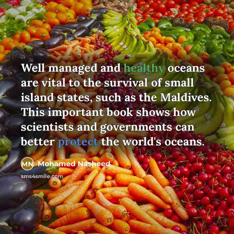 “Well managed and healthy oceans are vital to the survival…” quote by Mohamed Nasheed