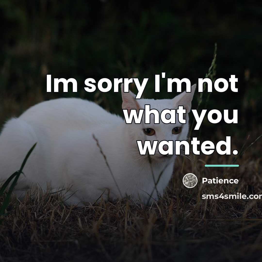 “Im sorry I'm not what you wanted.…” quote by Patience