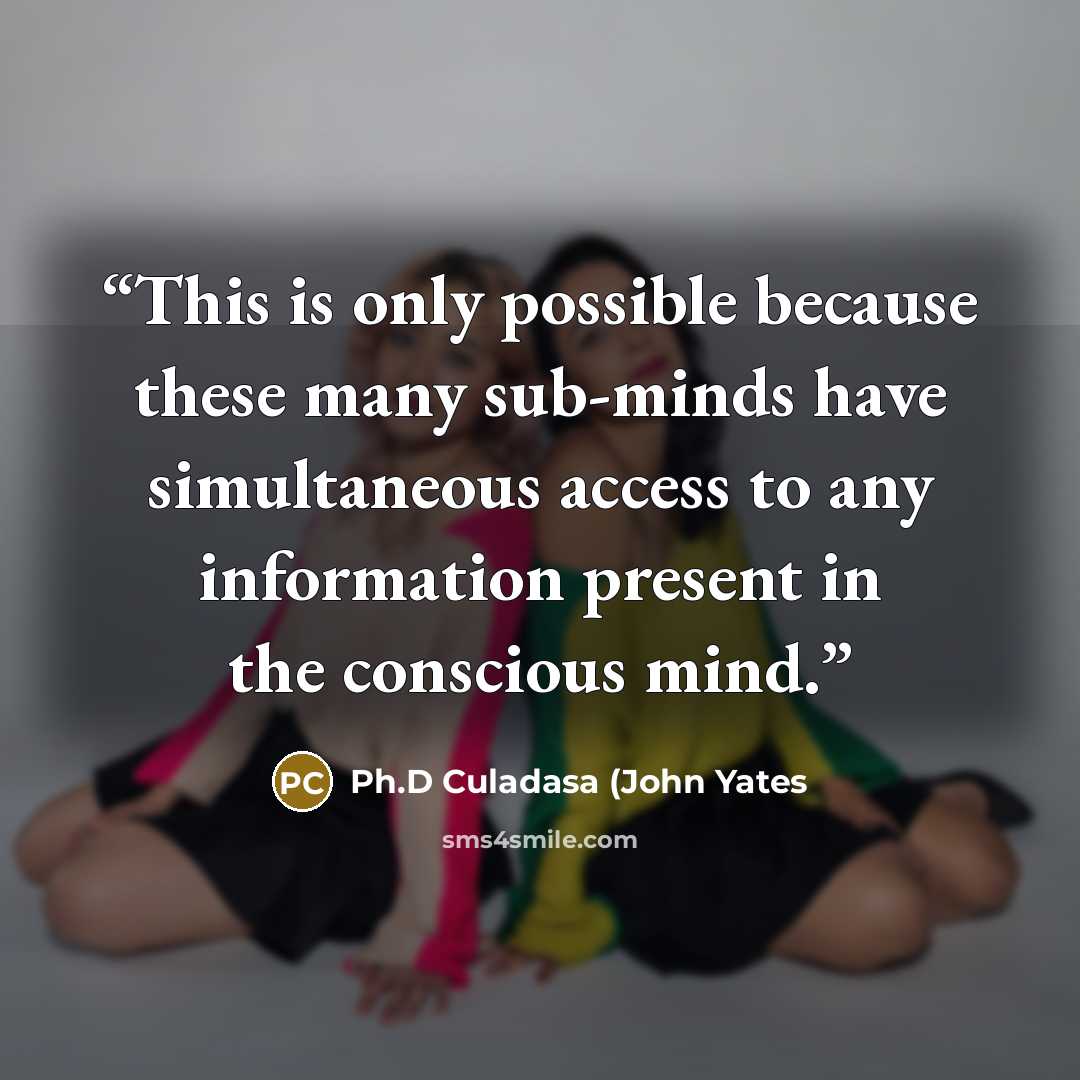 “This is only possible because these many sub-minds have simultaneous access to any information present in the conscious mind.” quote by Ph.D Culadasa (John Yates