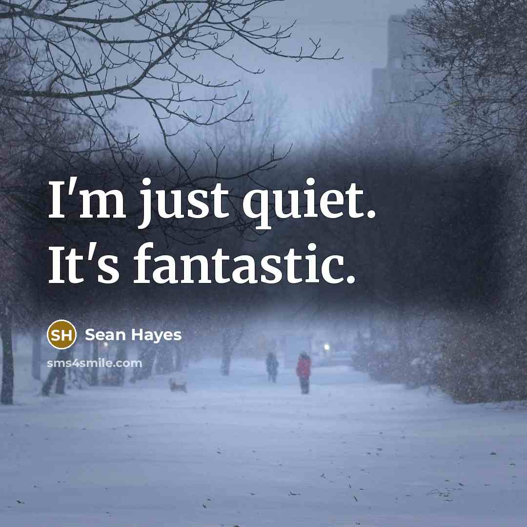 “I'm just quiet. It's fantastic.…” quote by Sean Hayes