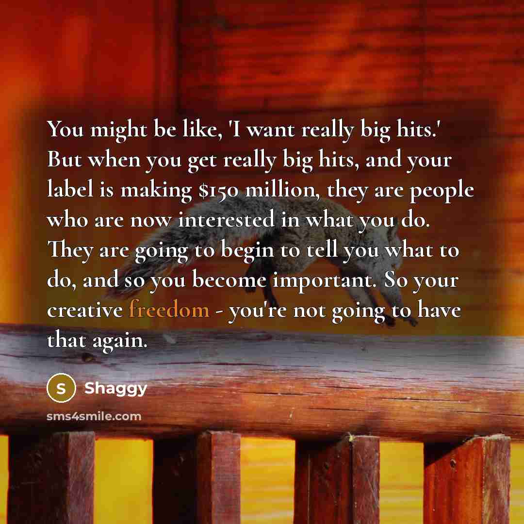 “You might be like, 'I want really big hits.' But…” quote by Shaggy