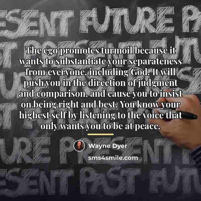 “The ego promotes turmoil because it wants to substantiate your…” quote by Wayne Dyer