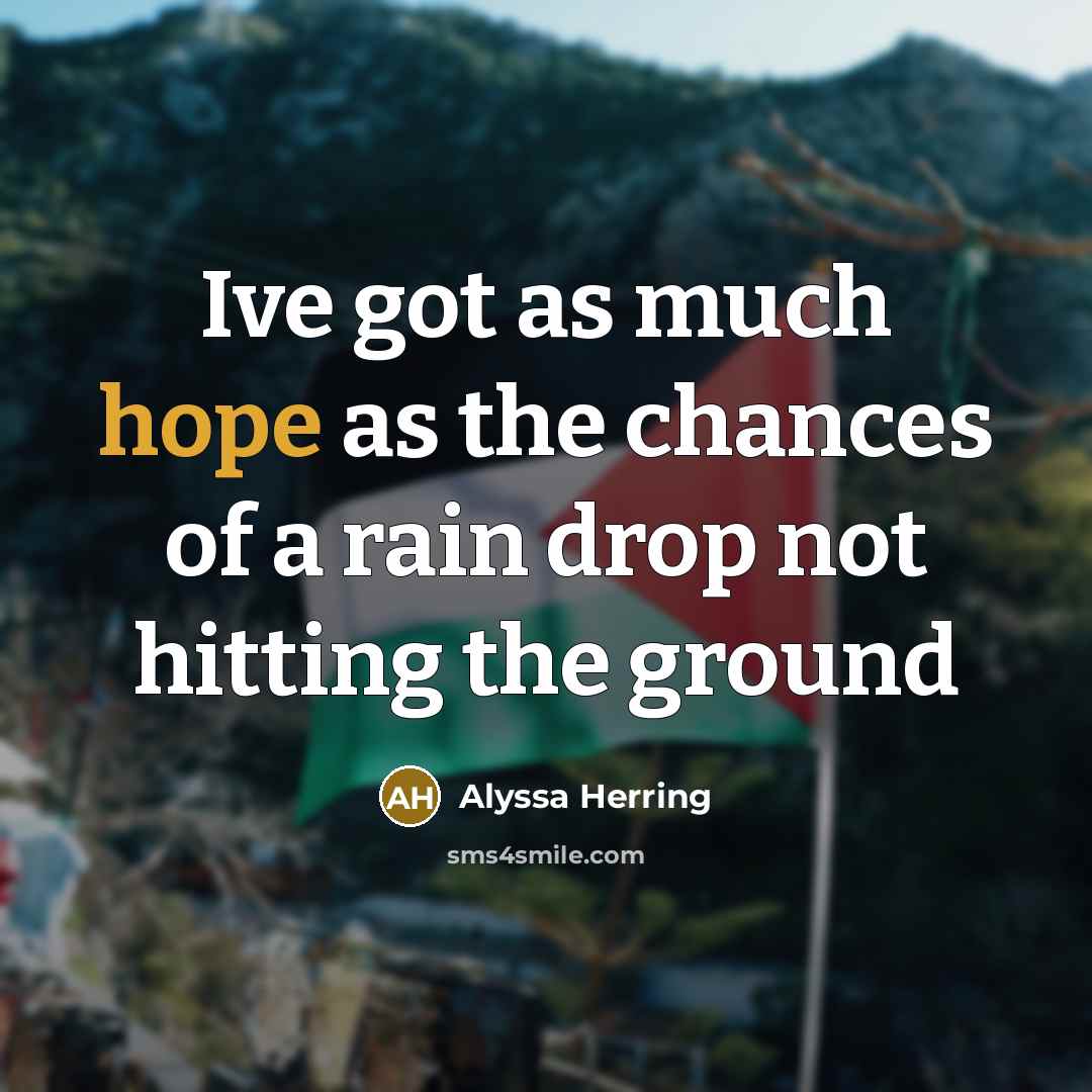“Ive got as much hope as the chances of a…” quote by Alyssa Herring