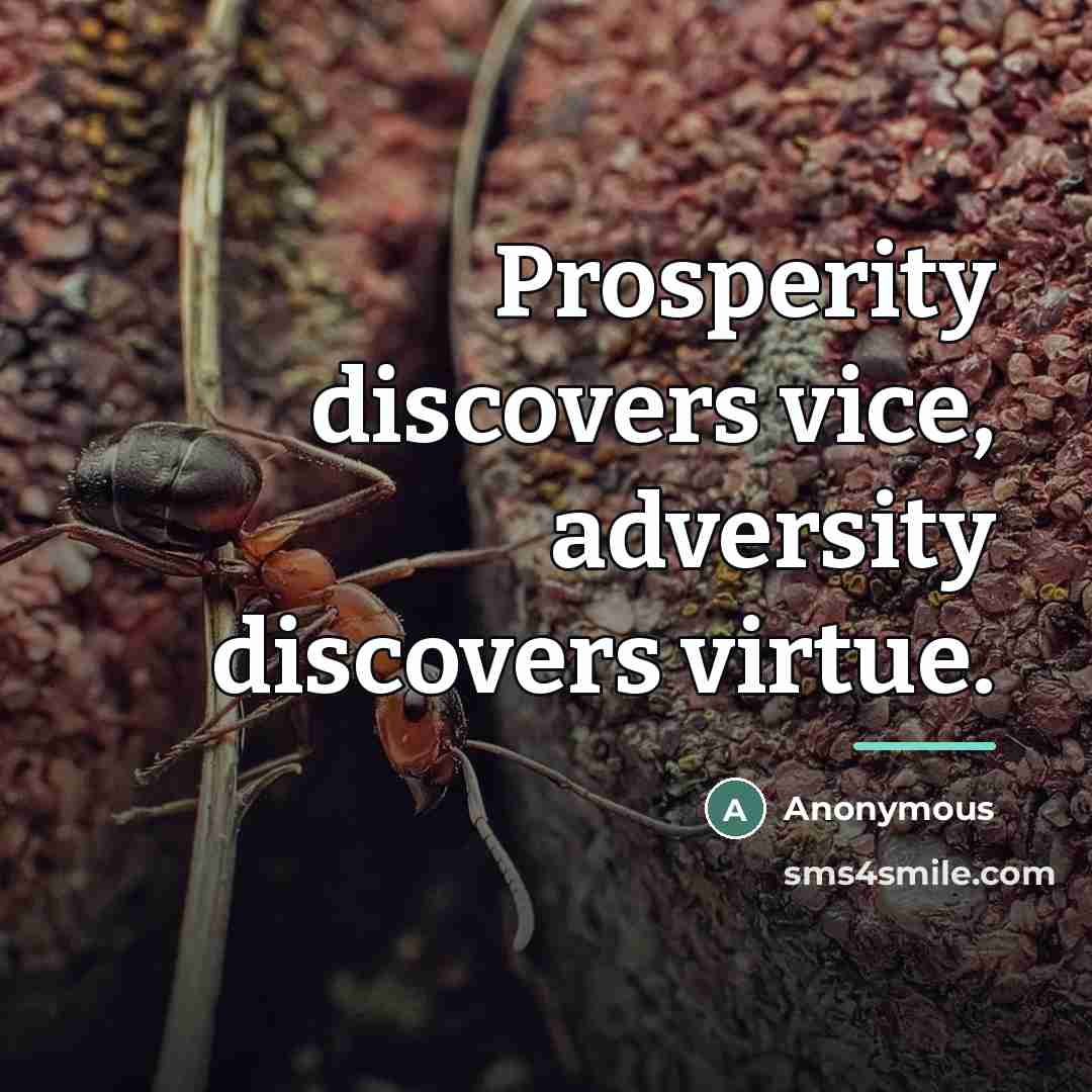 “Prosperity discovers vice, adversity discovers virtue.…” quote by Anonymous