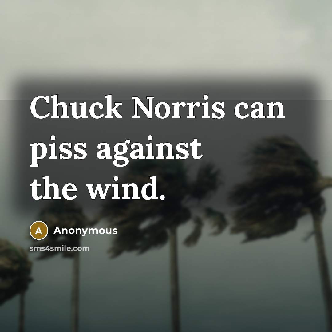 “Chuck Norris can piss against the wind.” quote by Anonymous