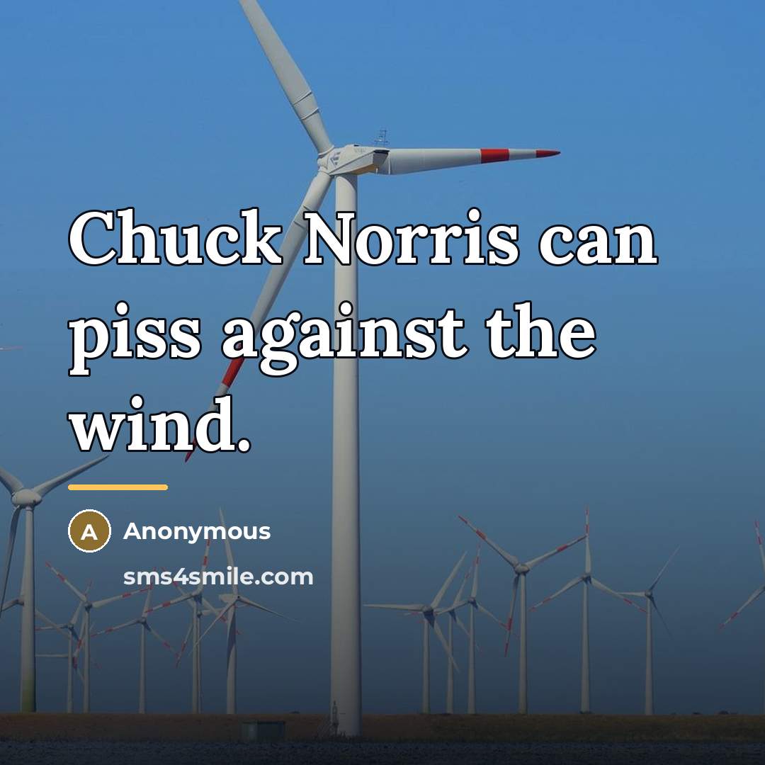 “Chuck Norris can piss against the wind.…” quote by Anonymous