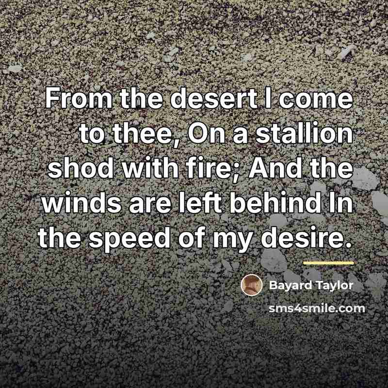“From the desert I come to thee, On a stallion…” quote by Bayard Taylor