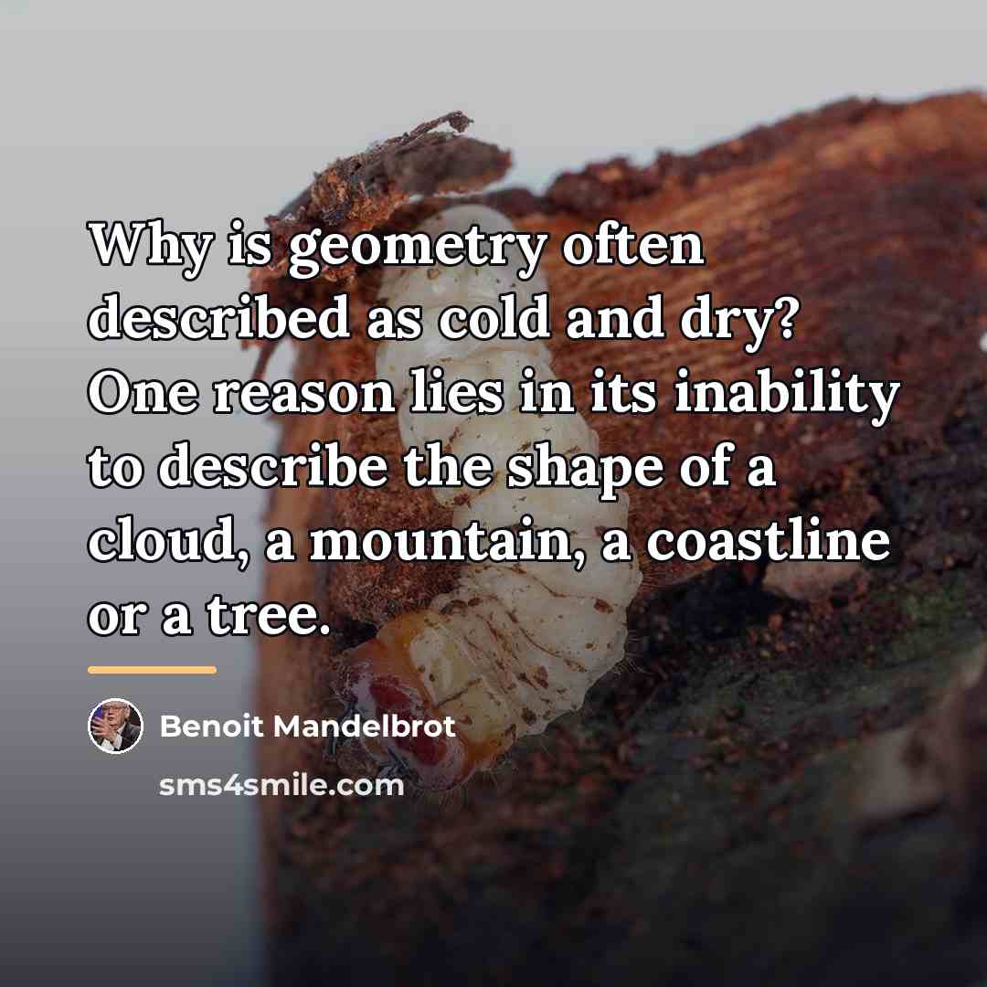 “Why is geometry often described as cold and dry? One…” quote by Benoit Mandelbrot