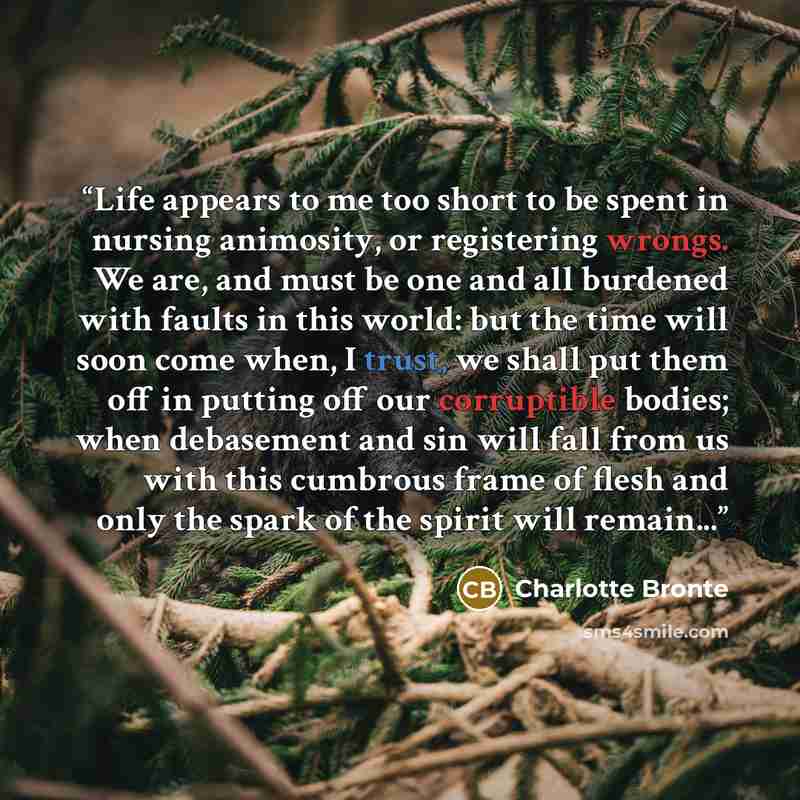 “Life appears to me too short to be spent in nursing animosity, or registering wrongs. We are, and must be one and all burdened with faults in this world: but the time will soon come when, I trust, we shall put them off in putting off our corruptible bodies; when debasement and sin will fall from…” quote by Charlotte Brontë