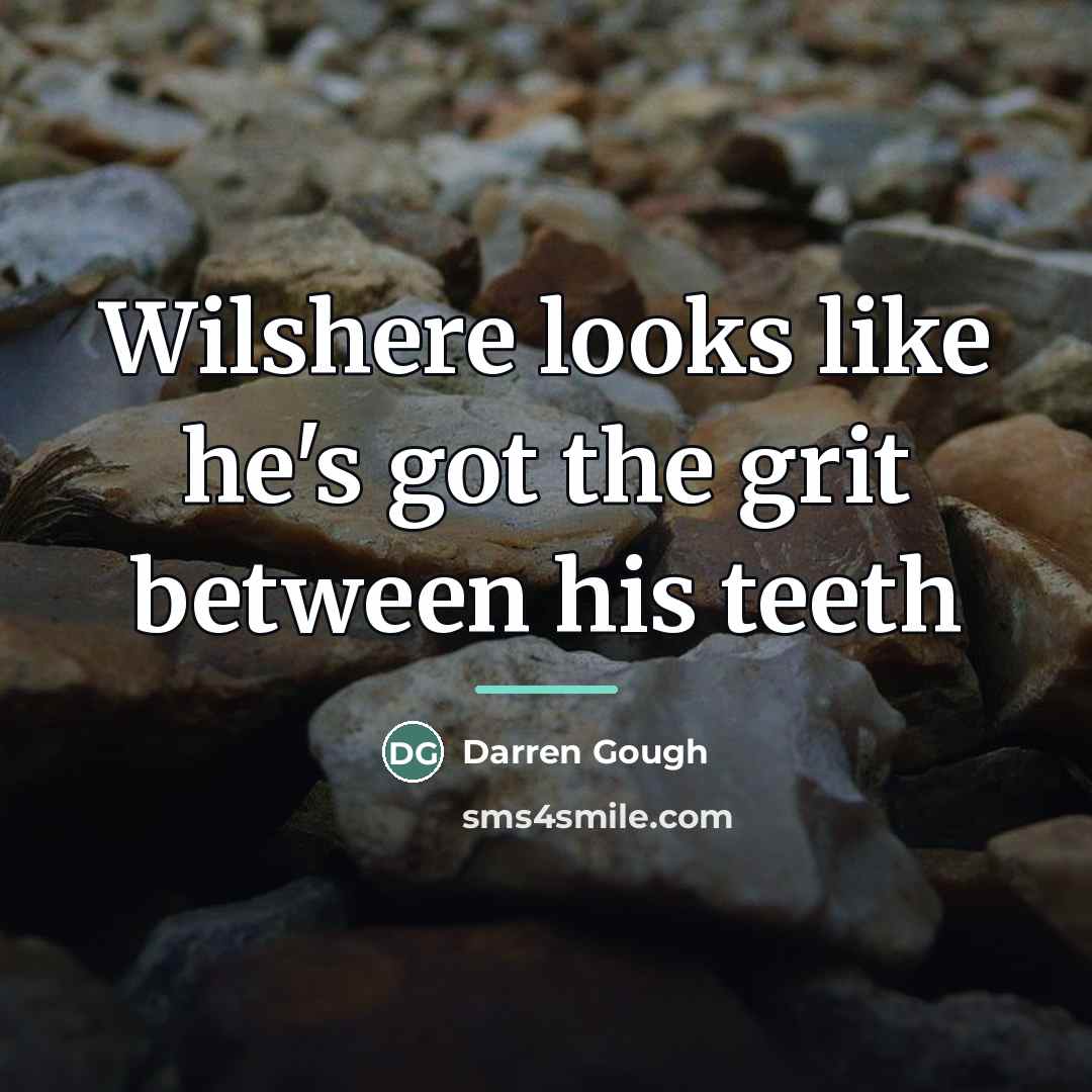 “Wilshere looks like he's got the grit between his teeth…” quote by Darren Gough