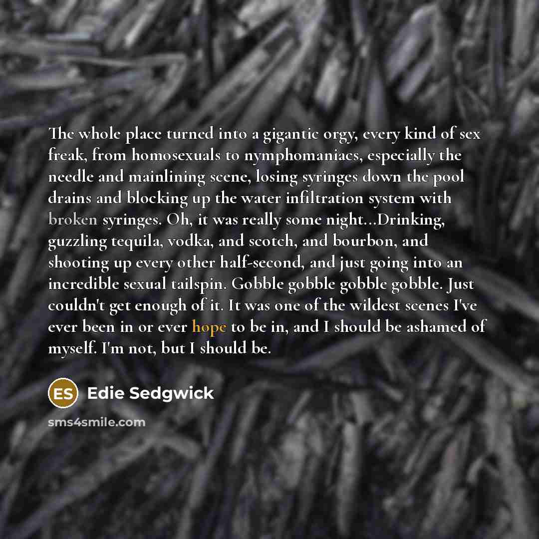 “The whole place turned into a gigantic orgy, every kind of sex freak, from homosexuals to nymphomaniacs, especially the needle and mainlining scene, losing syringes down the pool drains and blocking up the water infiltration system with broken syringes. Oh, it was really some night...Drinking…” quote by Edie Sedgwick