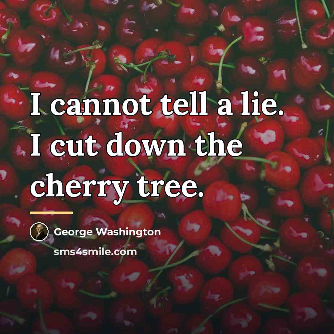 “I cannot tell a lie. I cut down the cherry…” quote by George Washington